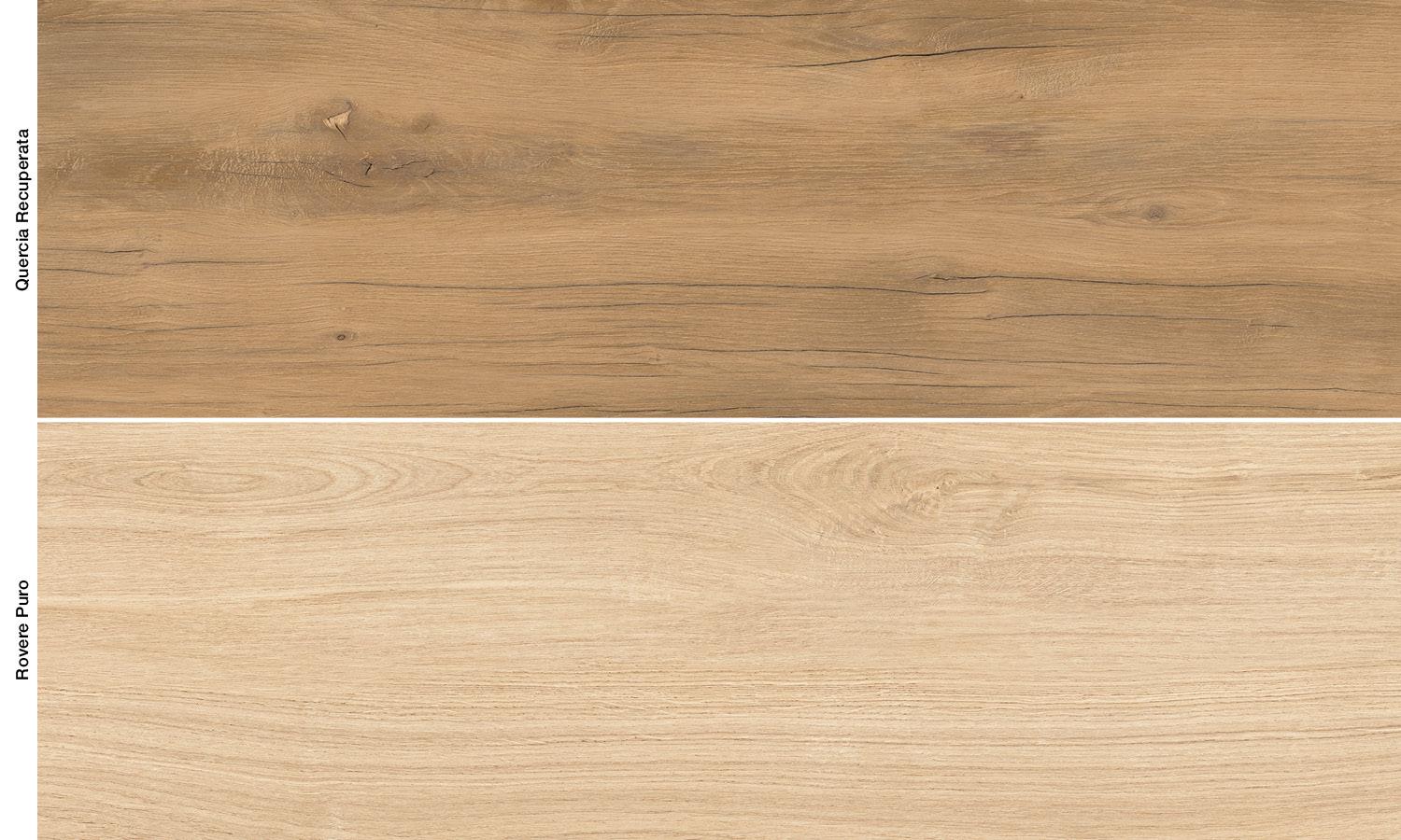 Provoak abaco Provoak-abaco-4291