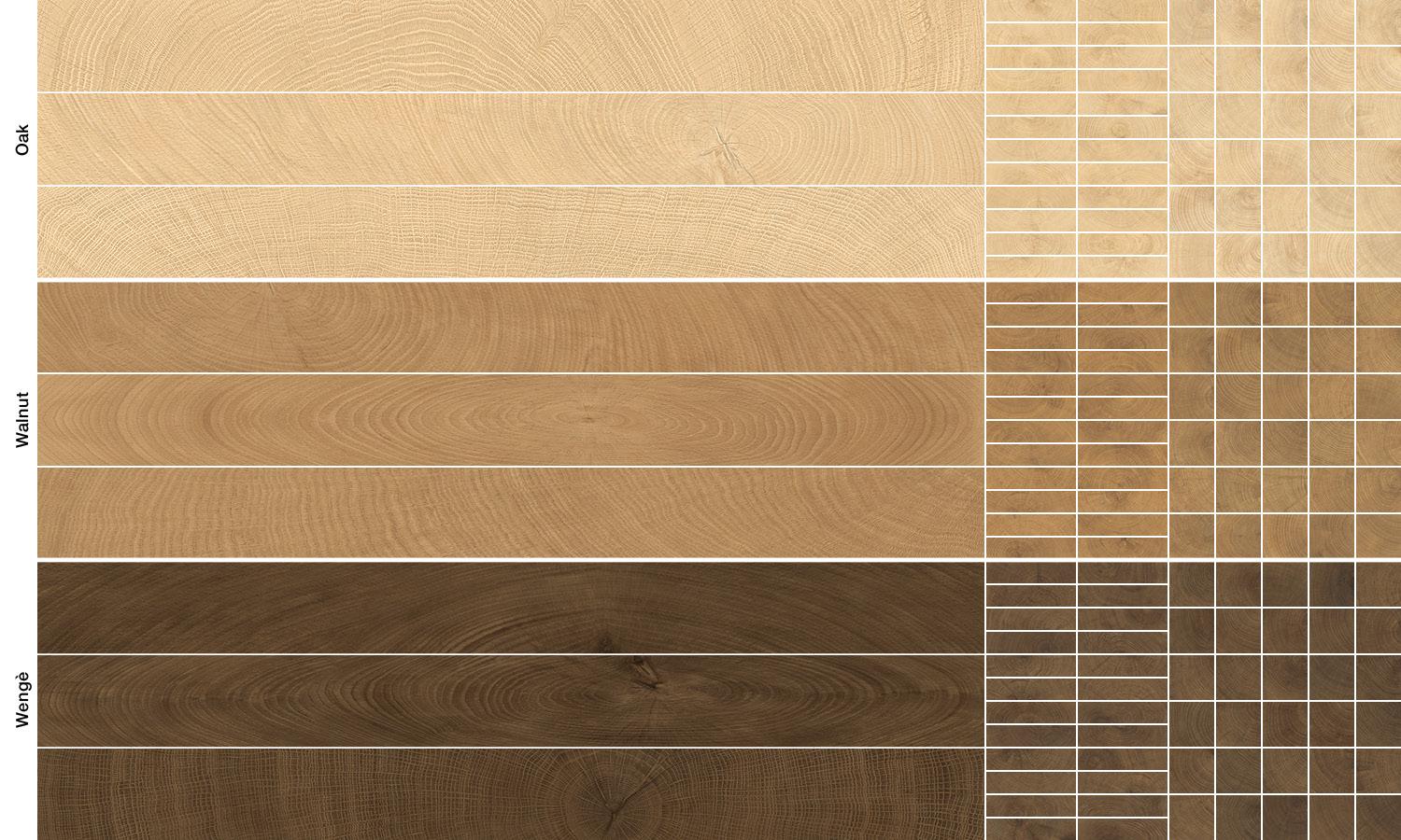 W-Circles-abaco-4247