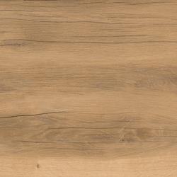 Provoak - Quercia Recuperata Provoak - Quercia Recuperata