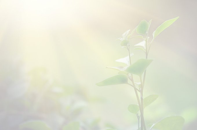 EPD y Análisis del Ciclo de Vida EPD y Análisis del Ciclo de Vida